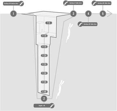 Nitric Oxide and Oxidative Stress Changes at Depth in Breath-Hold Diving